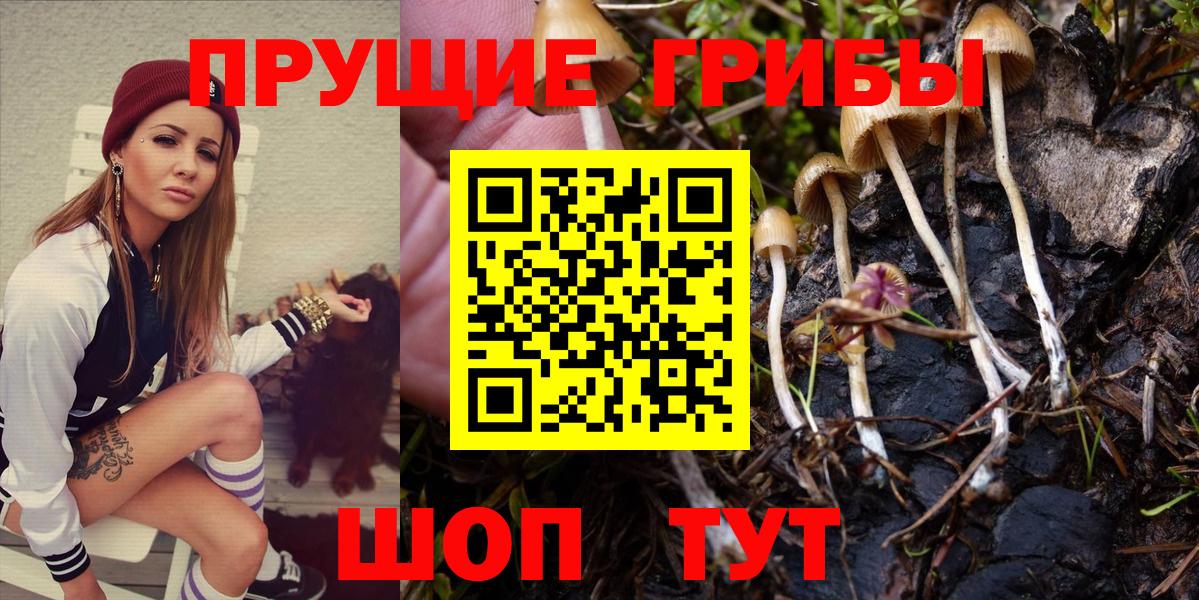 Керчь  Галлюциногенные грибы ЛСД  Вход с VPN  Псилоцибиновые грибы Psilocybine cubensis 