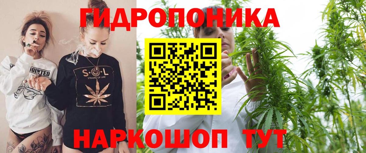 Керчь  Марихуана план  Бошки Шишки марихуана  Каннабис SATIVA & INDICA  Вход с VPN  Марихуана LSD WEED 
